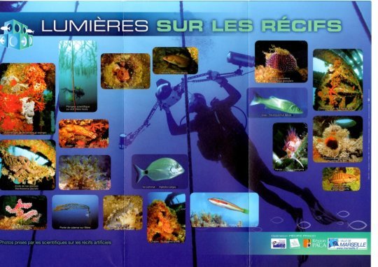Brochure Récifs Prado -p3